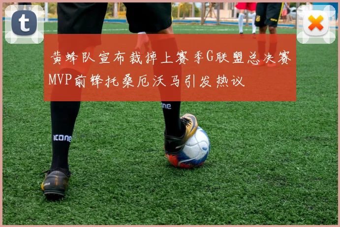 黄蜂队宣布裁掉上赛季G联盟总决赛MVP前锋托桑厄沃马引发热议